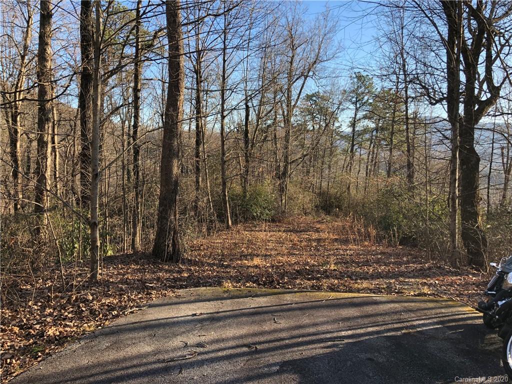 10-acres Echoing Ridge, Unit 8 Fairview, NC 28730 - Photo 10 of 20 Gallery Image 10