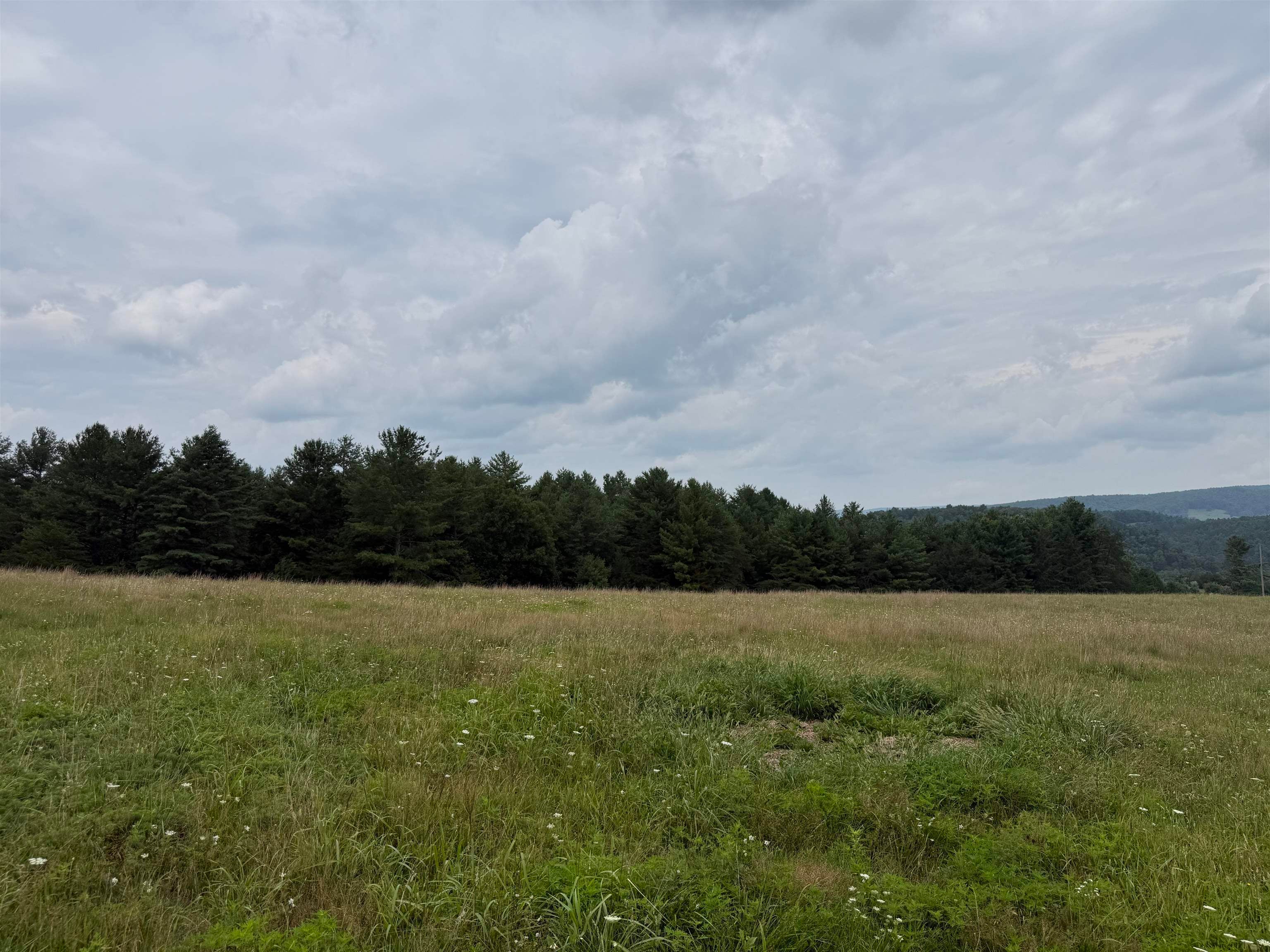1485 Price Ridge Road Bland, VA 24315 - Photo 40 of 87 Gallery Image 40