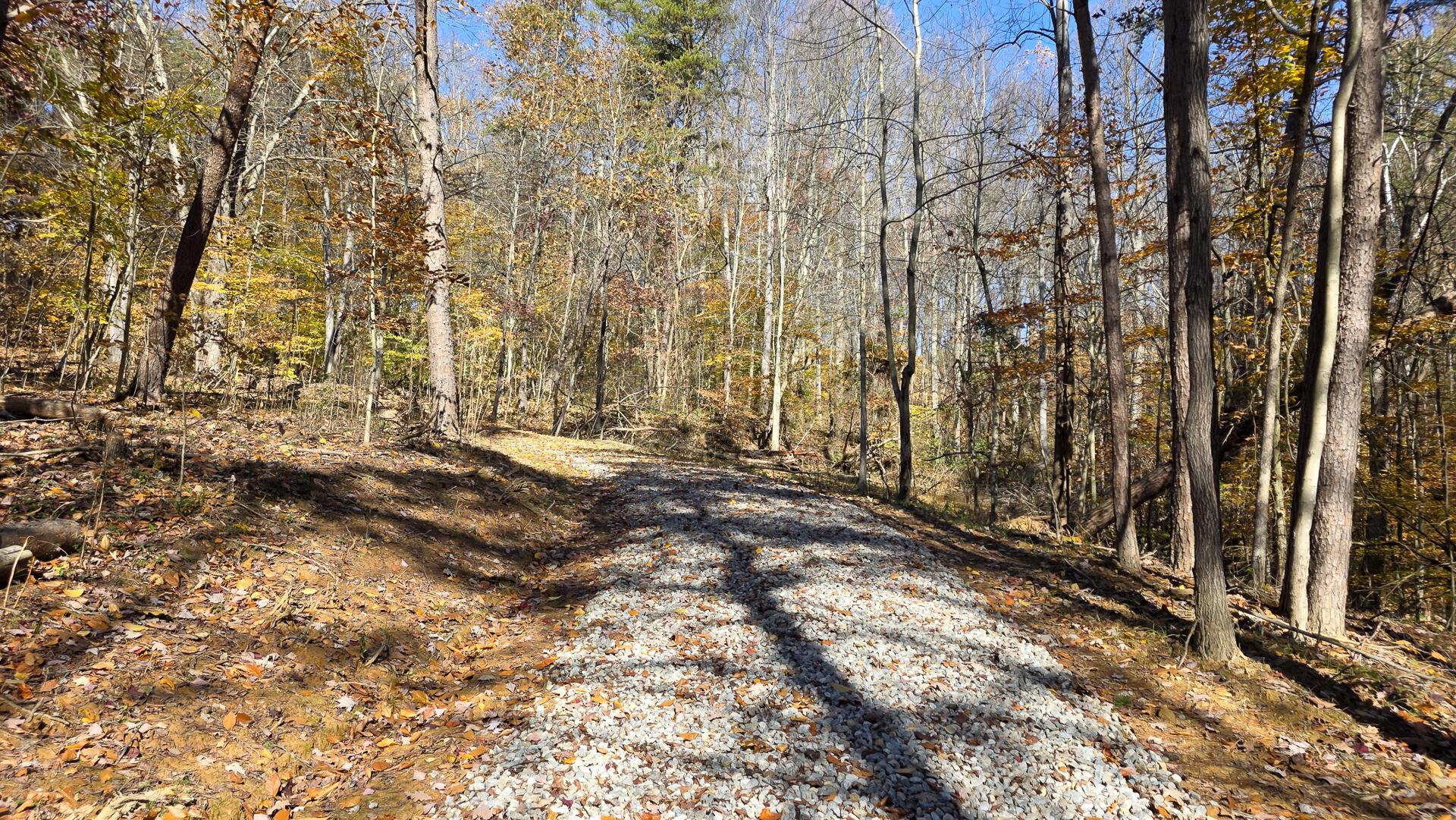 908 Nibert Road, Unit PONDS POPLAR RIDGE TRACT 2) Gallipolis, OH 45631 - Photo 23 of 25 CT-23