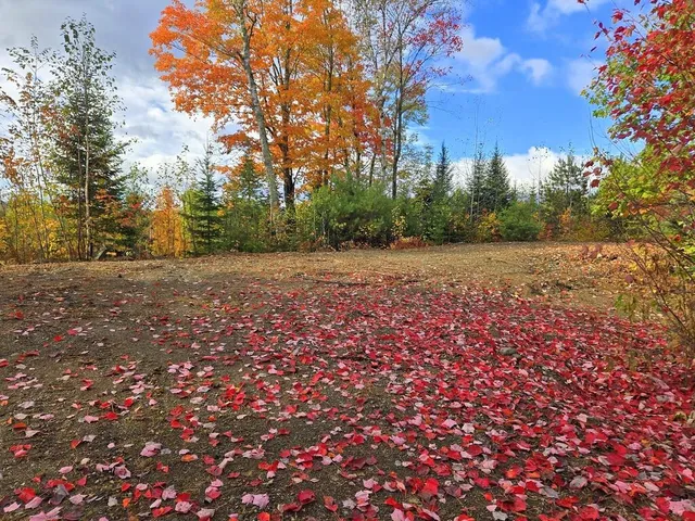 $85,000 | Lot 28-a East Madrid Road, Phillips, ME 04966