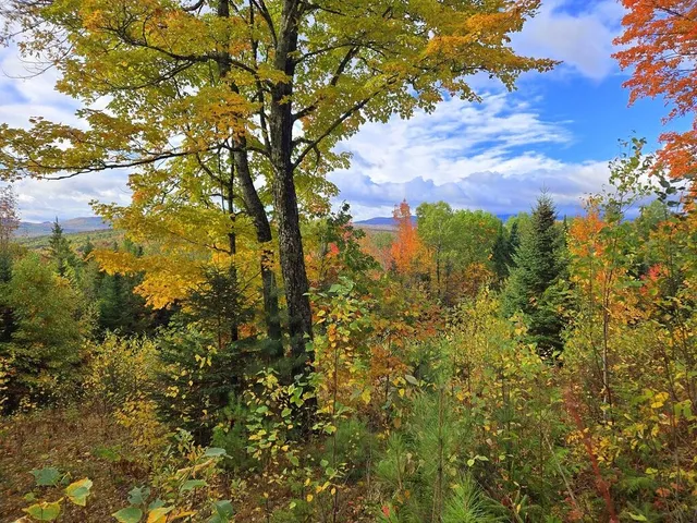 $85,000 | Lot 28-a East Madrid Road, Phillips, ME 04966