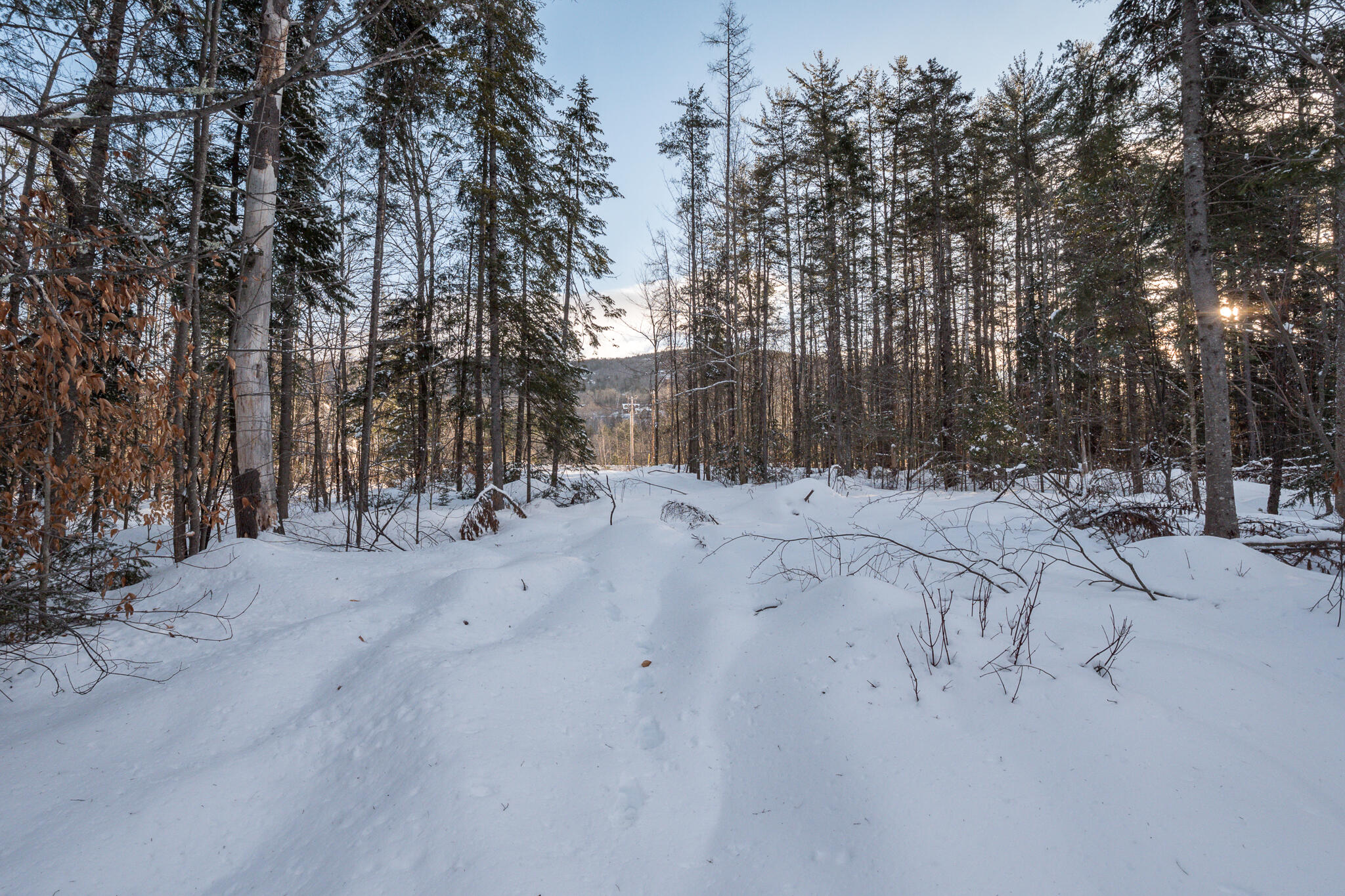 480 Sunday River Road Newry, ME 04261 - Photo 3 of 16 Webb Lots-8