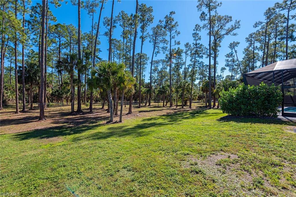 662 9th Street Southwest Naples, FL 34117 - Photo 14 of 34 a view of yard with palm trees