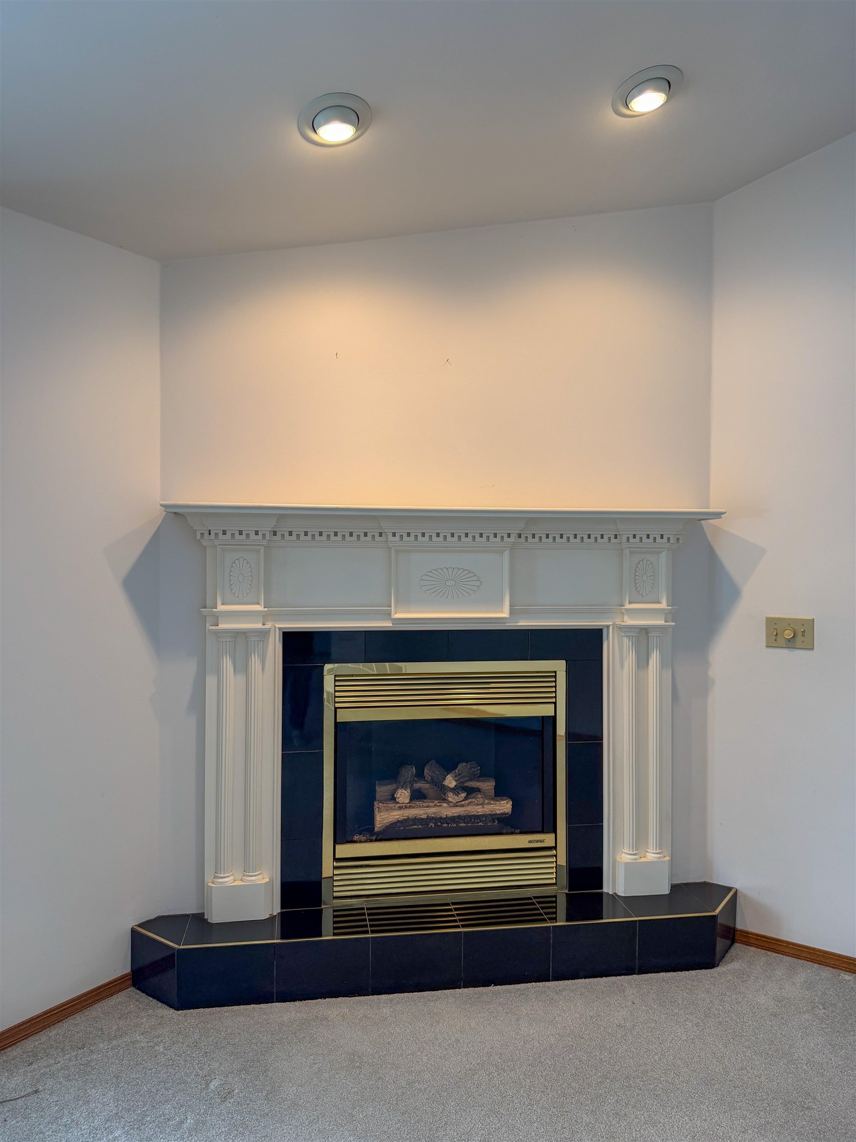 511 West Pulaski Street Pulaski, WI 54162 - Photo 8 of 32