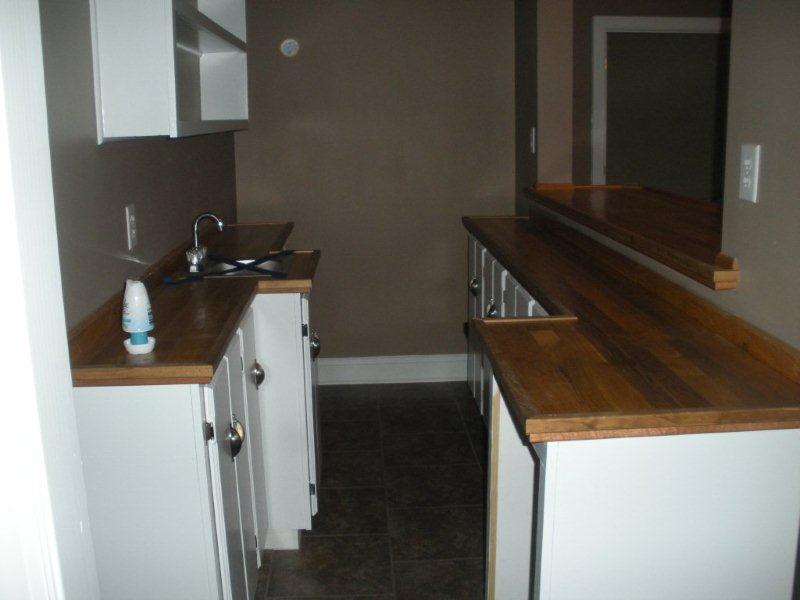 140 Stripers Landing Road Moneta, VA 24121 - Photo 20 of 25 Wet Bar