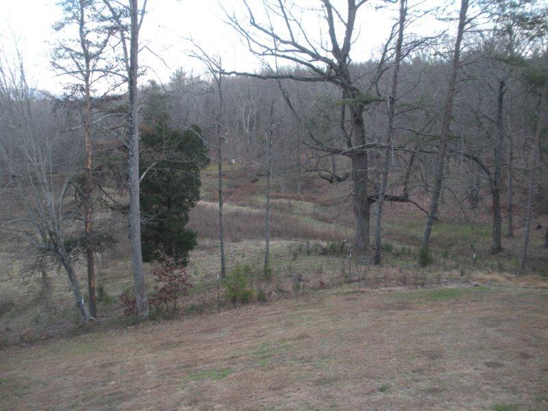 140 Stripers Landing Road Moneta, VA 24121 - Photo 24 of 25 Back Deck Views