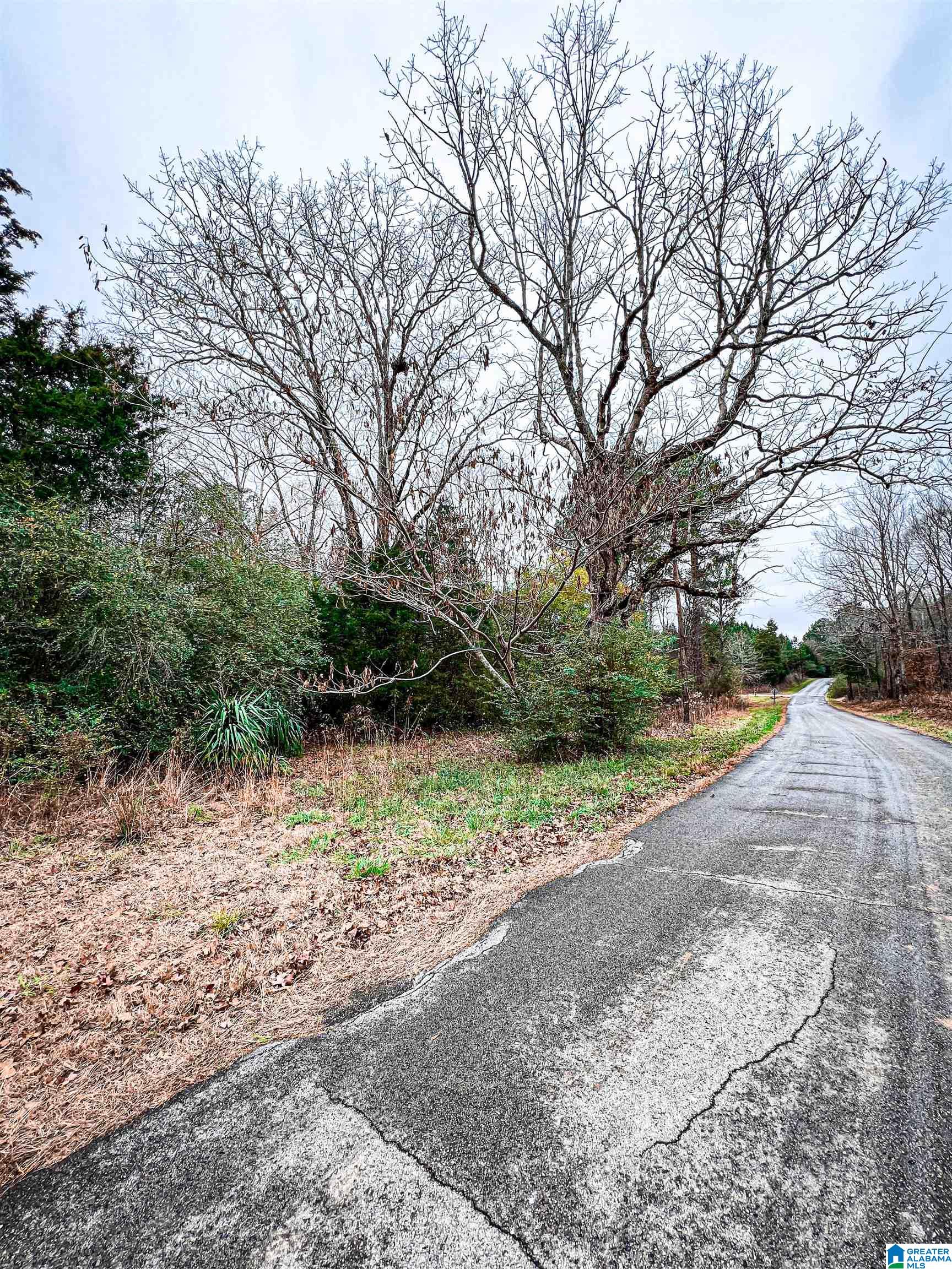 1118 North County Road, Unit WP001 Winfield, AL 35594 - Photo 15 of 17