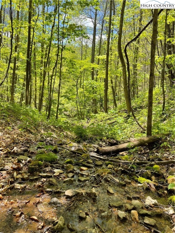 Ivy Branch Road Creston, NC 28615 - Photo 1 of 15 Gallery Image 1