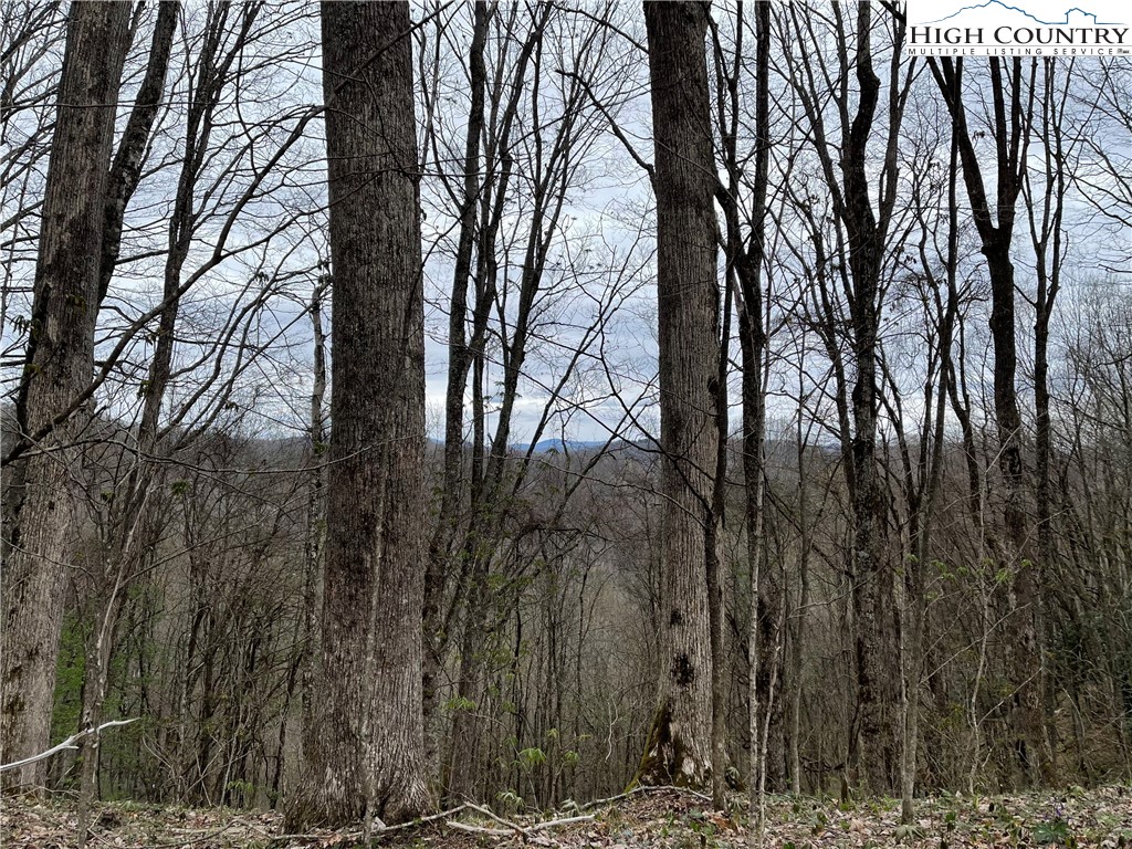 Ivy Branch Road Creston, NC 28615 - Photo 14 of 15 Gallery Image 14