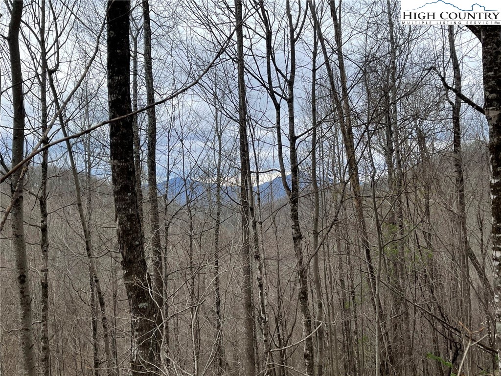 Ivy Branch Road Creston, NC 28615 - Photo 15 of 15 Gallery Image 15