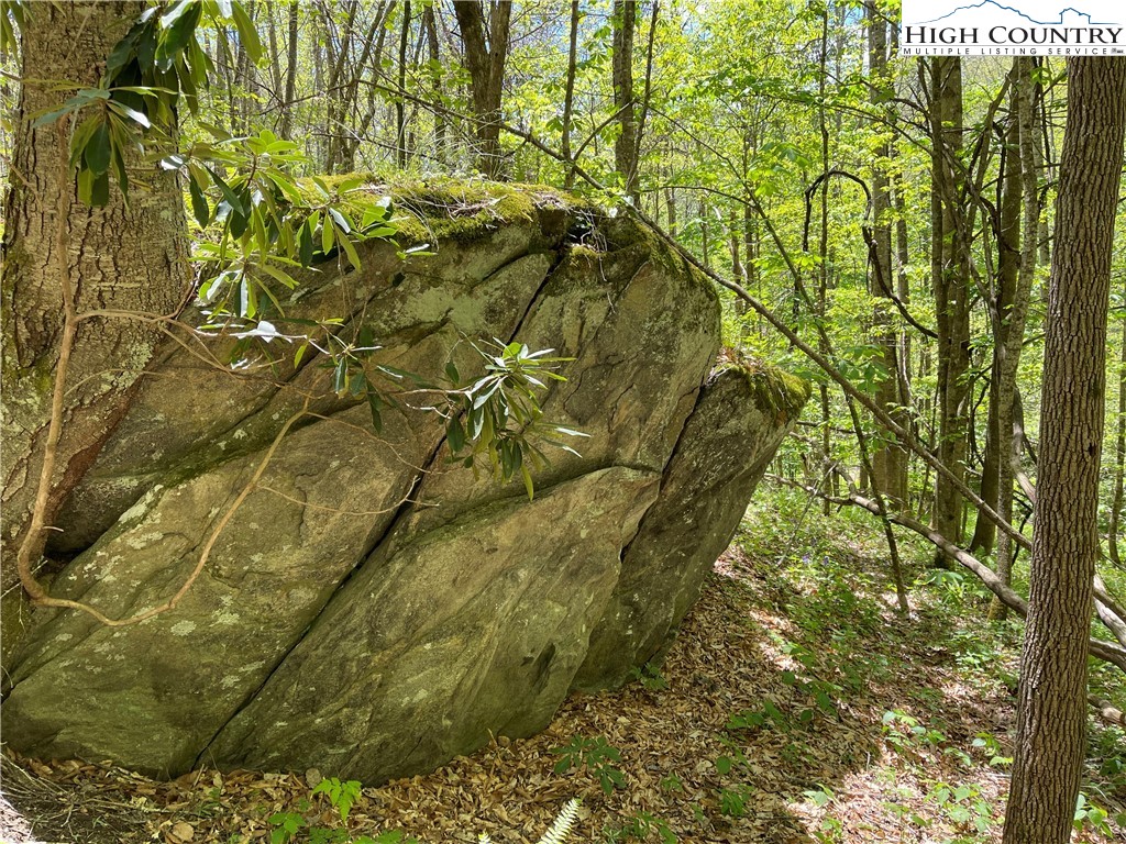 Ivy Branch Road Creston, NC 28615 - Photo 2 of 15 Gallery Image 2