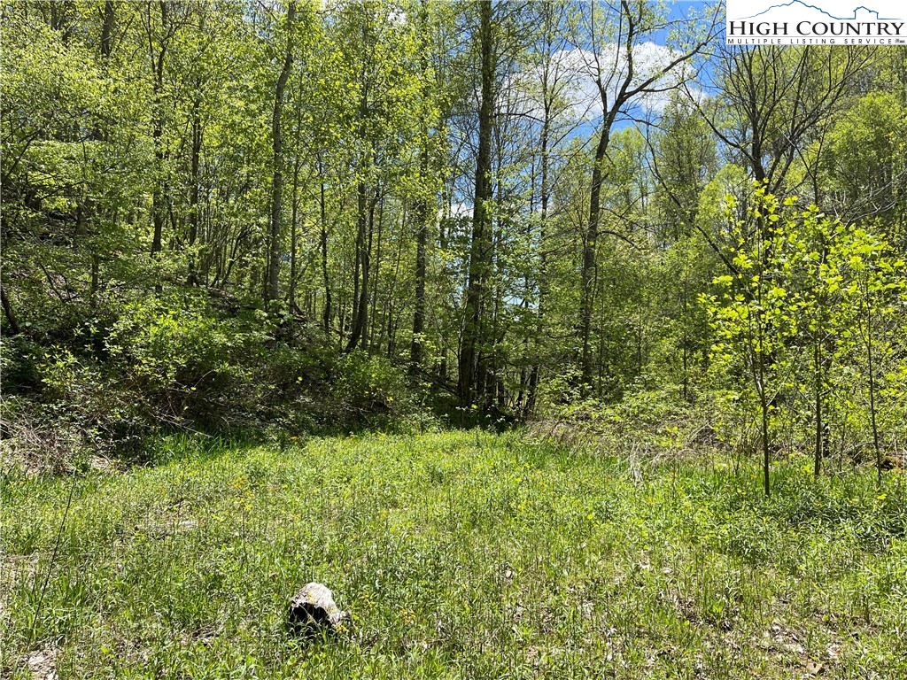 Ivy Branch Road Creston, NC 28615 - Photo 3 of 15 Gallery Image 3