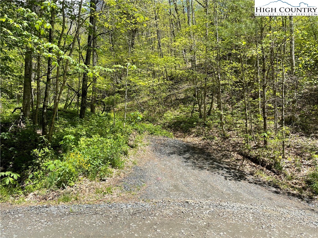 Ivy Branch Road Creston, NC 28615 - Photo 6 of 15 Gallery Image 6