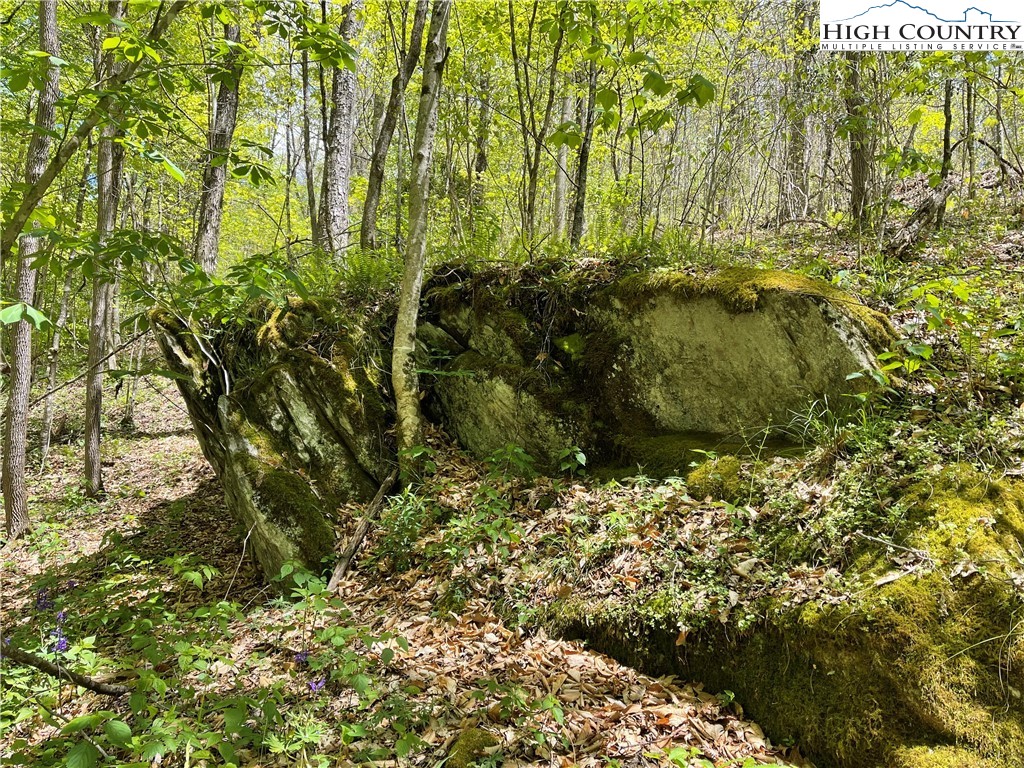 Ivy Branch Road Creston, NC 28615 - Photo 7 of 15 Gallery Image 7