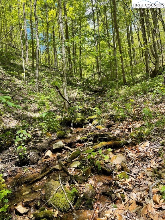 Ivy Branch Road Creston, NC 28615 - Photo 8 of 15 Gallery Image 8