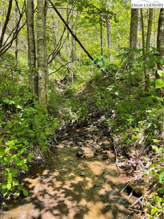 Ivy Branch Road Creston, NC 28615 - Photo 9 of 15 Gallery Image 9