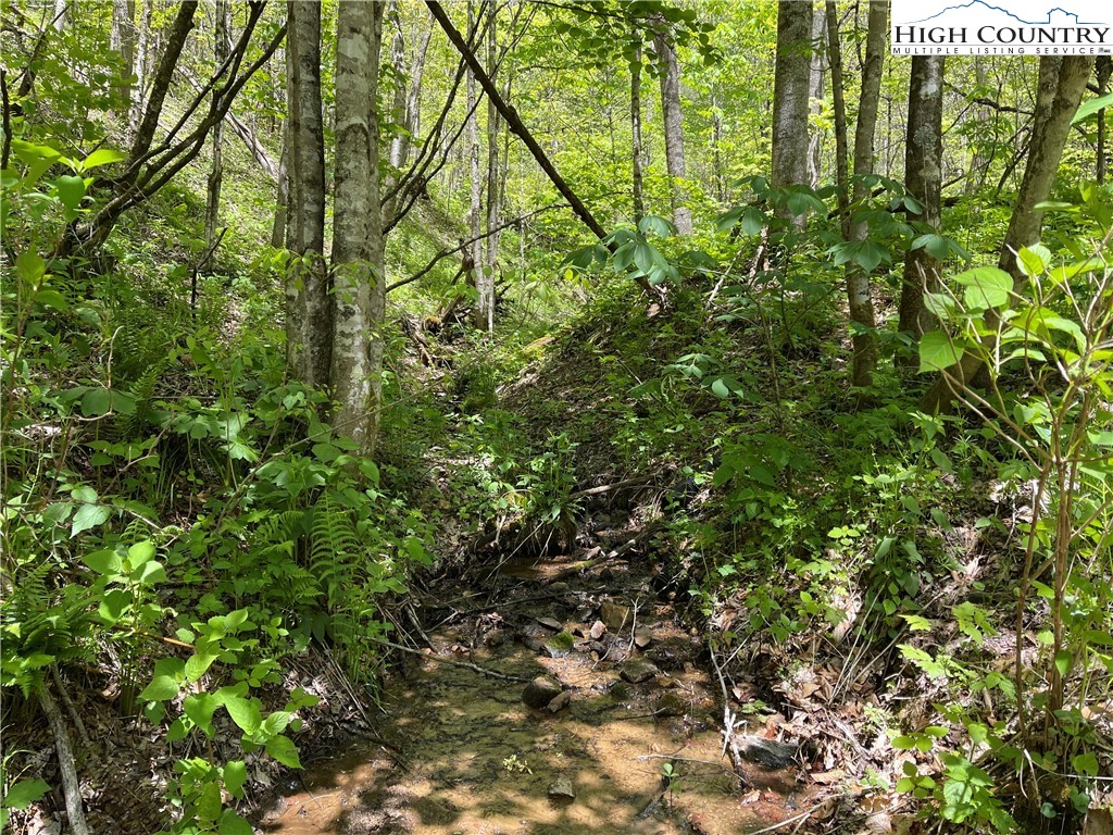 Ivy Branch Road Creston, NC 28615 - Photo 10 of 15 Gallery Image 10