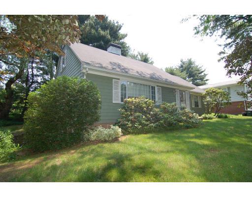 101 Chalmers Street Springfield, MA 01118 - Photo 19 of 19 a backyard of a house with potted plants and large tree