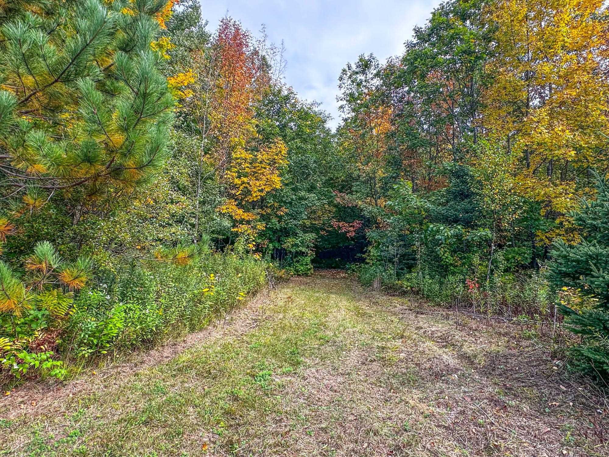 72281 Hennes Road Glidden, WI 54527 - Photo 44 of 50