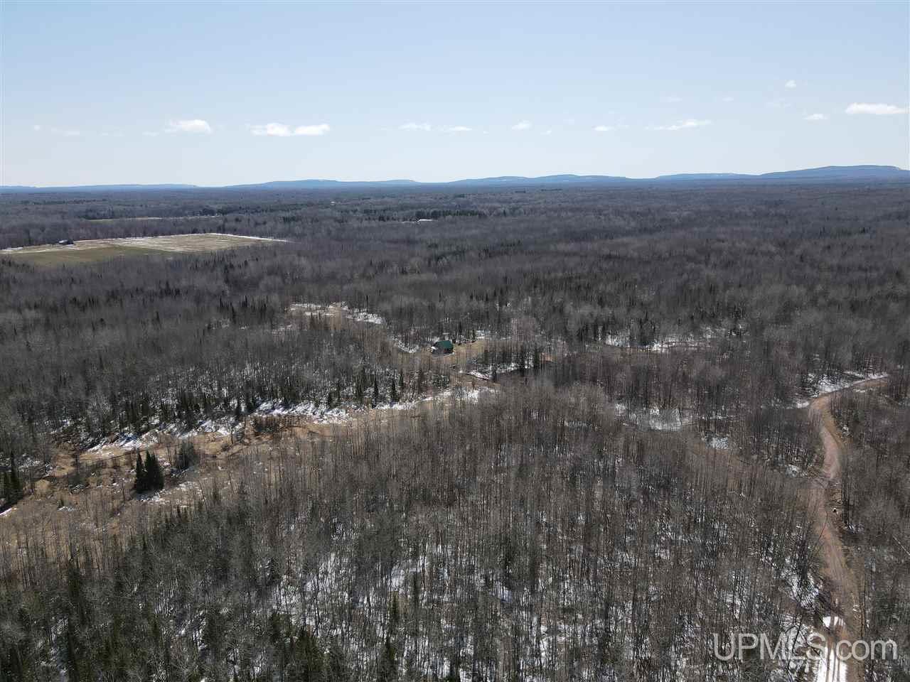 Tbd Bolo Road Marenisco, MI 49947 - Photo 10 of 14