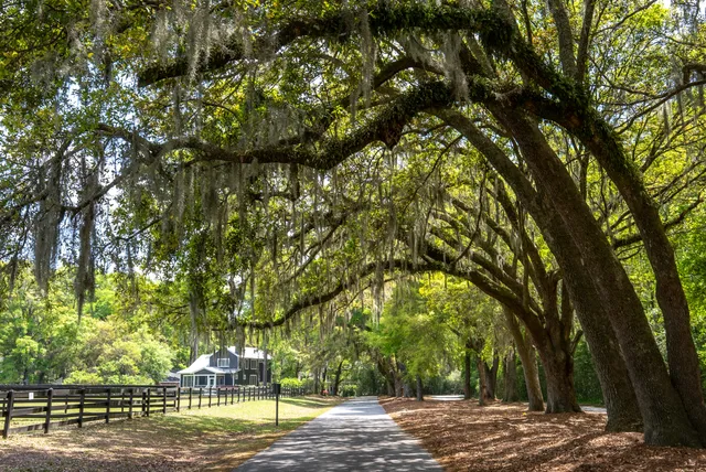 $525,000 | 5276 7th Green Drive, Hollywood, SC 29449