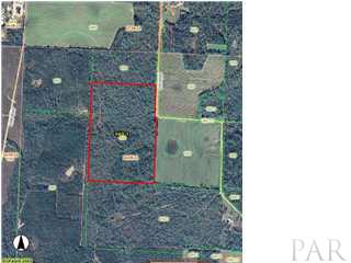 0 Cox Road McDavid, FL 32568 - Photo 1 of 2