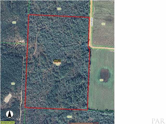 0 Cox Road McDavid, FL 32568 - Photo 2 of 2