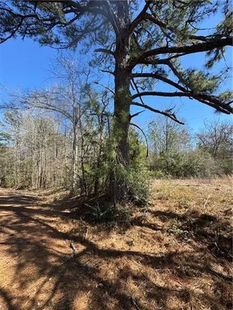$91,000 | 425 Cutts Road, Otis, LA 71466