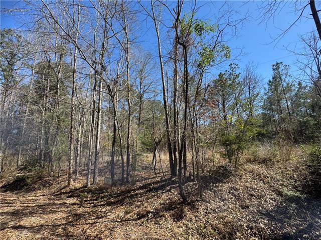 425 Cutts Road Otis, LA 71466 - Photo 5 of 7