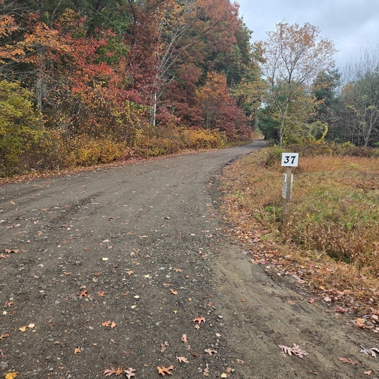 37 Tarkiln Road Kingston, MA 02364 - Photo 40 of 42 a backyard of a house with lots of green space