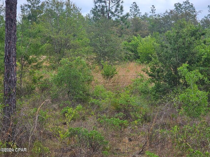 0 Sand Pond Road Chipley, FL 32428 - Photo 3 of 10 Gallery Image 3