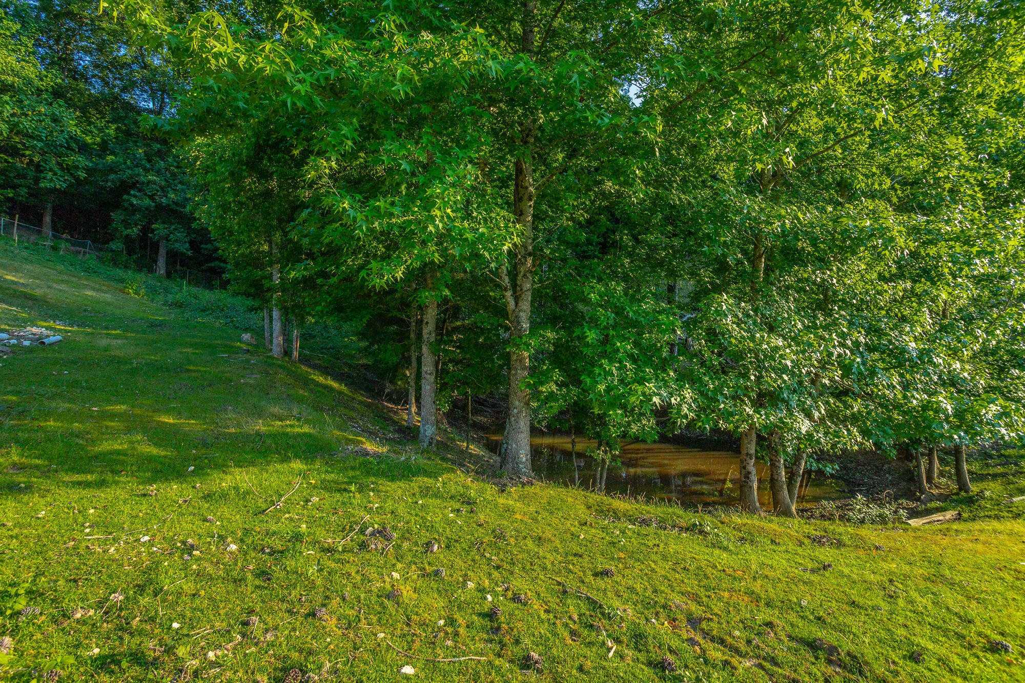 1240 Goose Pond Road Whitwell, TN 37397 - Photo 95 of 100 Gallery Image 95