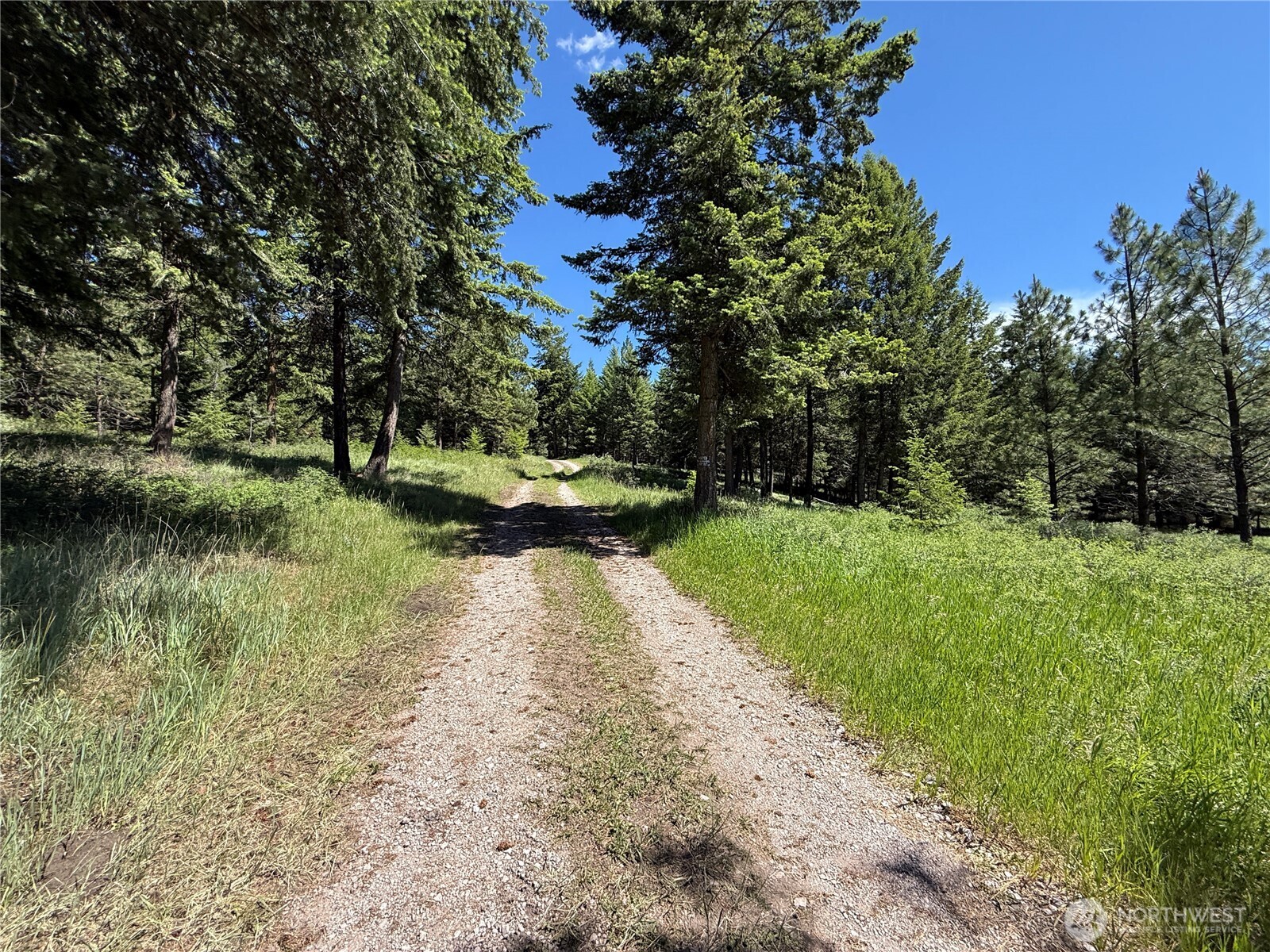 5 Hidden Spring Ranch Road Republic, WA 99166 - Photo 16 of 22