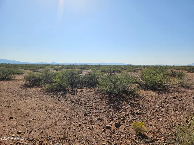 a view of a dry yard with wooden fence