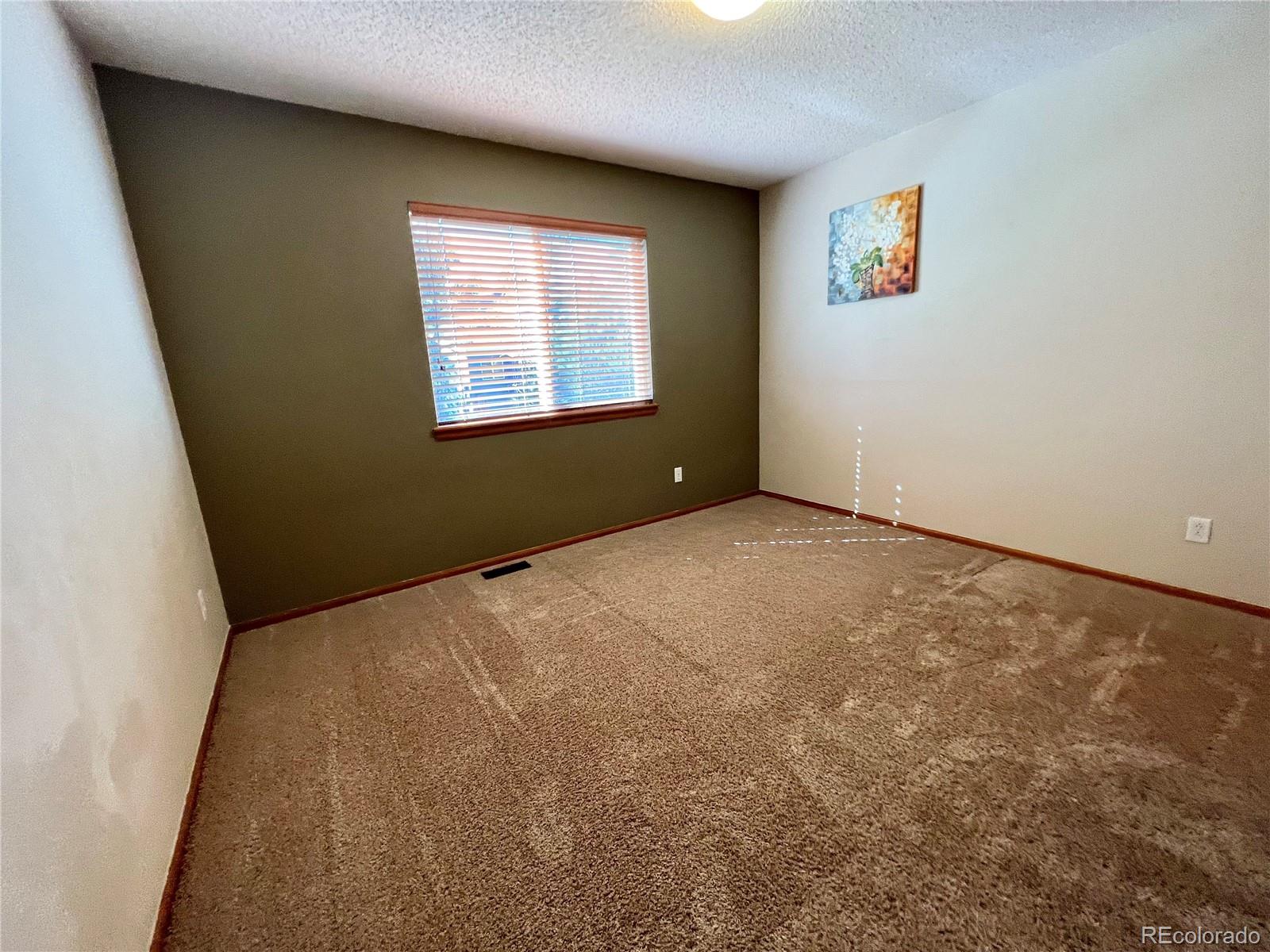 876 Timbervale Trail Highlands Ranch, CO 80129 - Photo 11 of 19