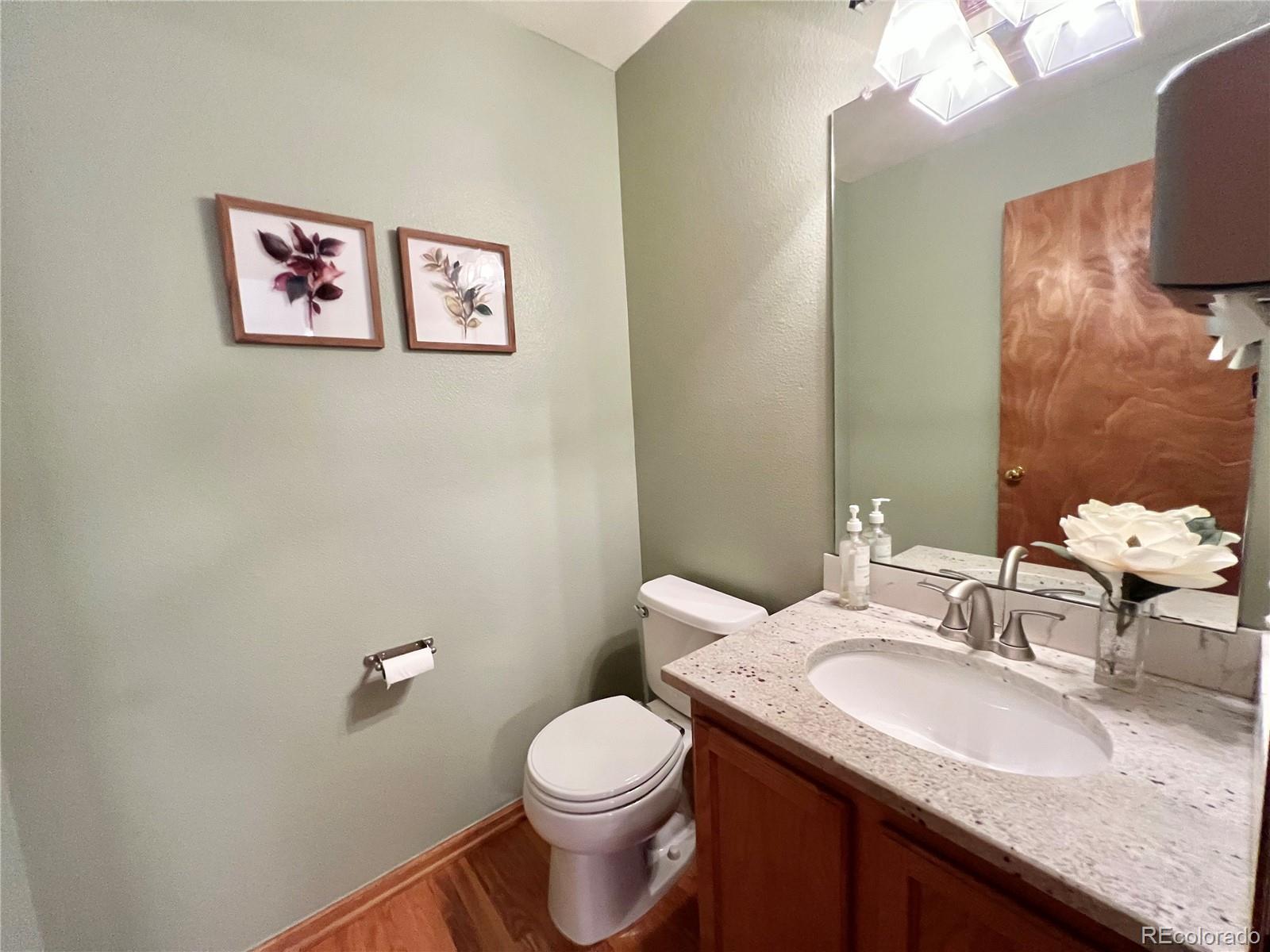 876 Timbervale Trail Highlands Ranch, CO 80129 - Photo 18 of 19