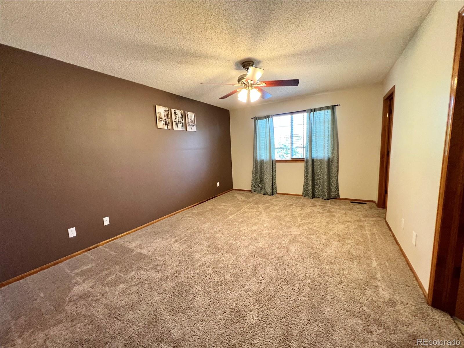 876 Timbervale Trail Highlands Ranch, CO 80129 - Photo 3 of 19