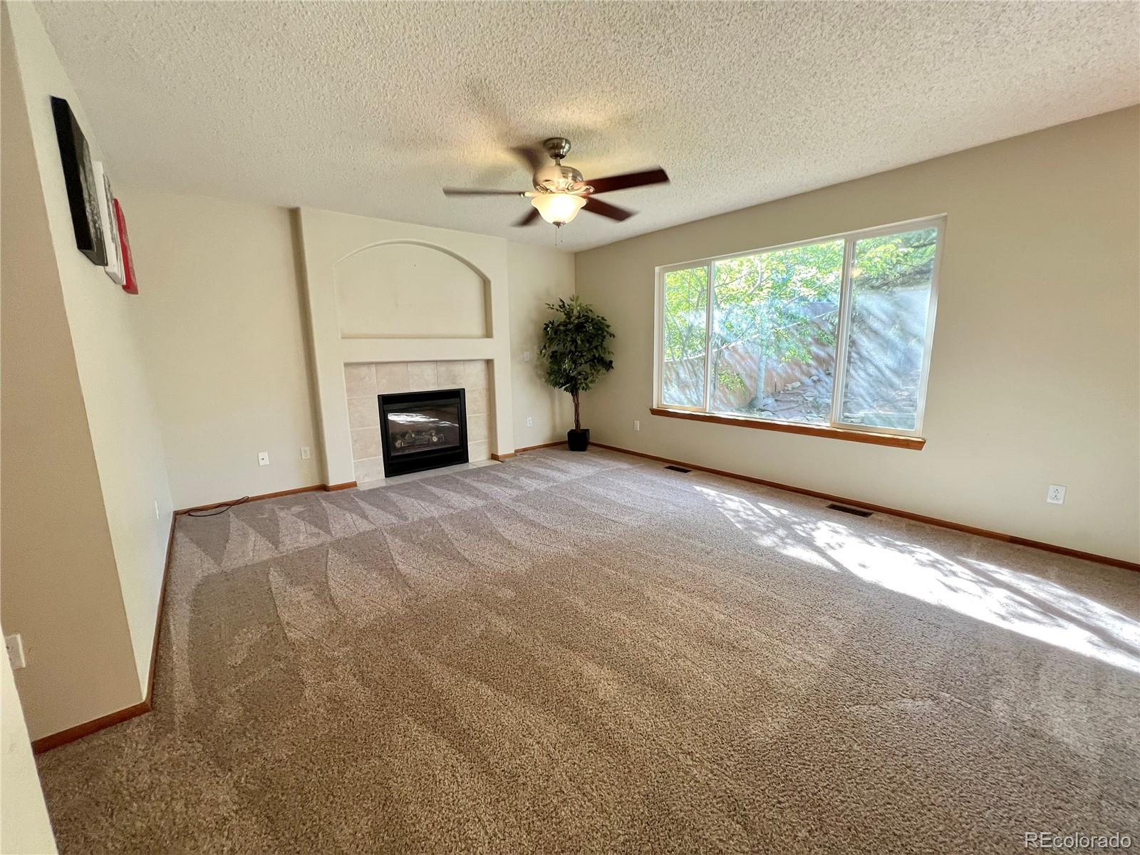 876 Timbervale Trail Highlands Ranch, CO 80129 - Photo 8 of 19