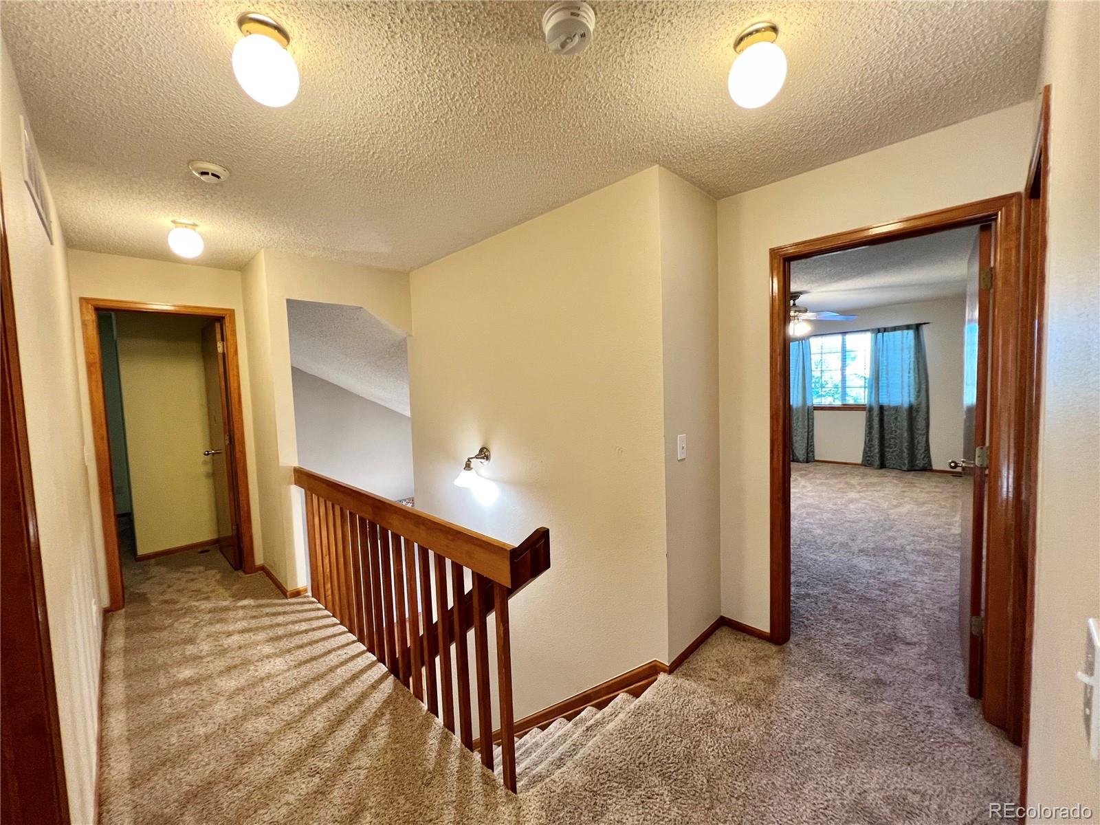 876 Timbervale Trail Highlands Ranch, CO 80129 - Photo 10 of 19