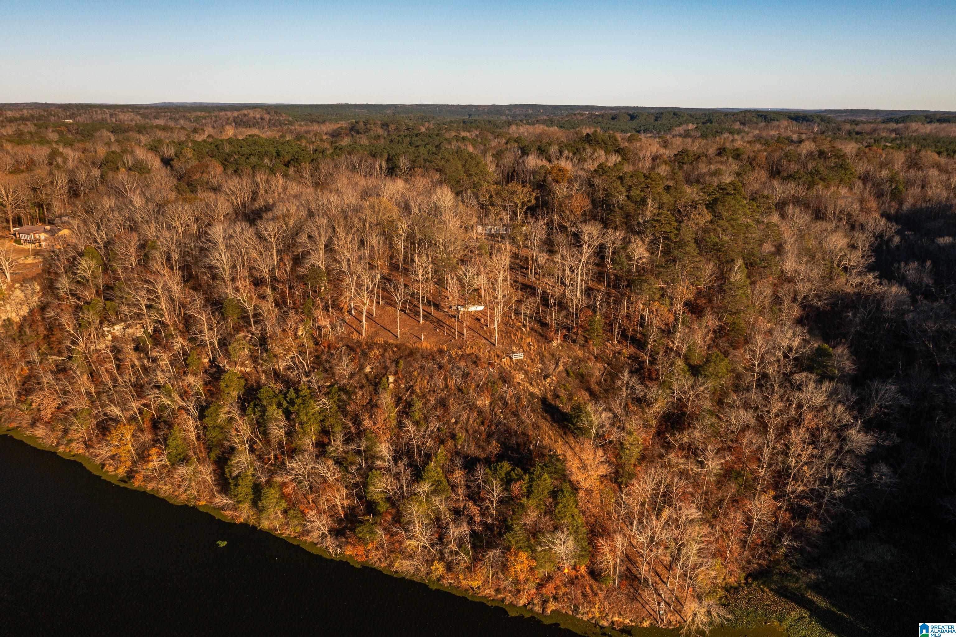 191 Warrior River Highlands Road Adger, AL 35006 - Photo 75 of 81