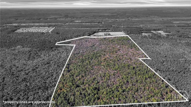 $2,392,000 | 215 Herbert Kessler Road, Guyton, GA 31312