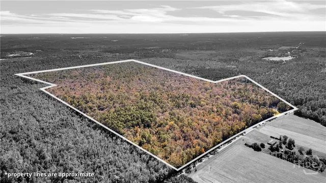 $2,392,000 | 215 Herbert Kessler Road, Guyton, GA 31312