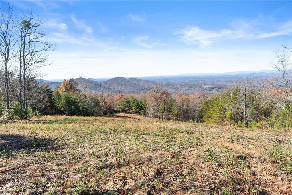 0 Helton Road Cleveland, GA 30528 - Photo 4 of 79 Gallery Image 4