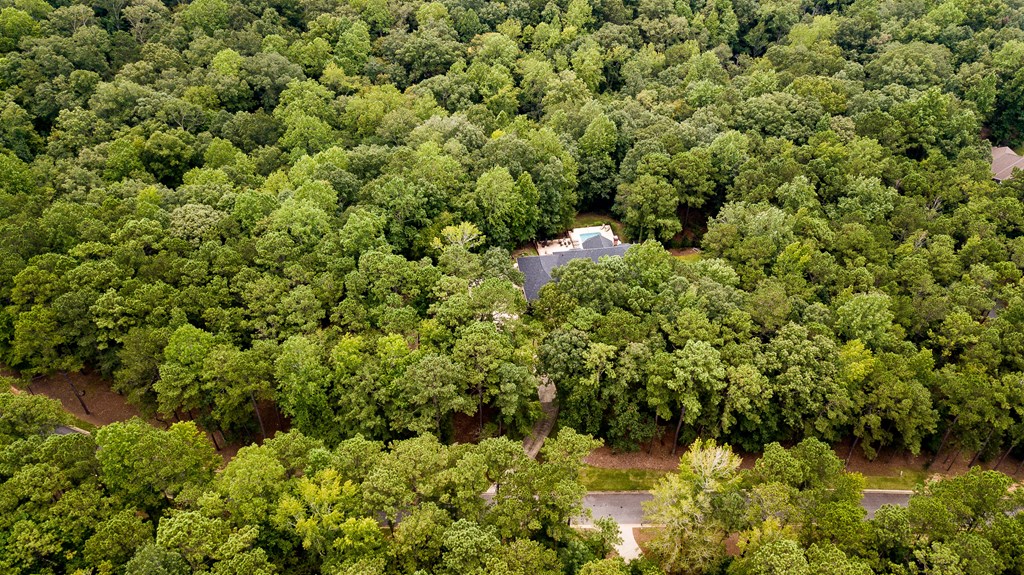 350 Old Gate Road Midland, GA 31820 - Photo 82 of 86 Gallery Image 82