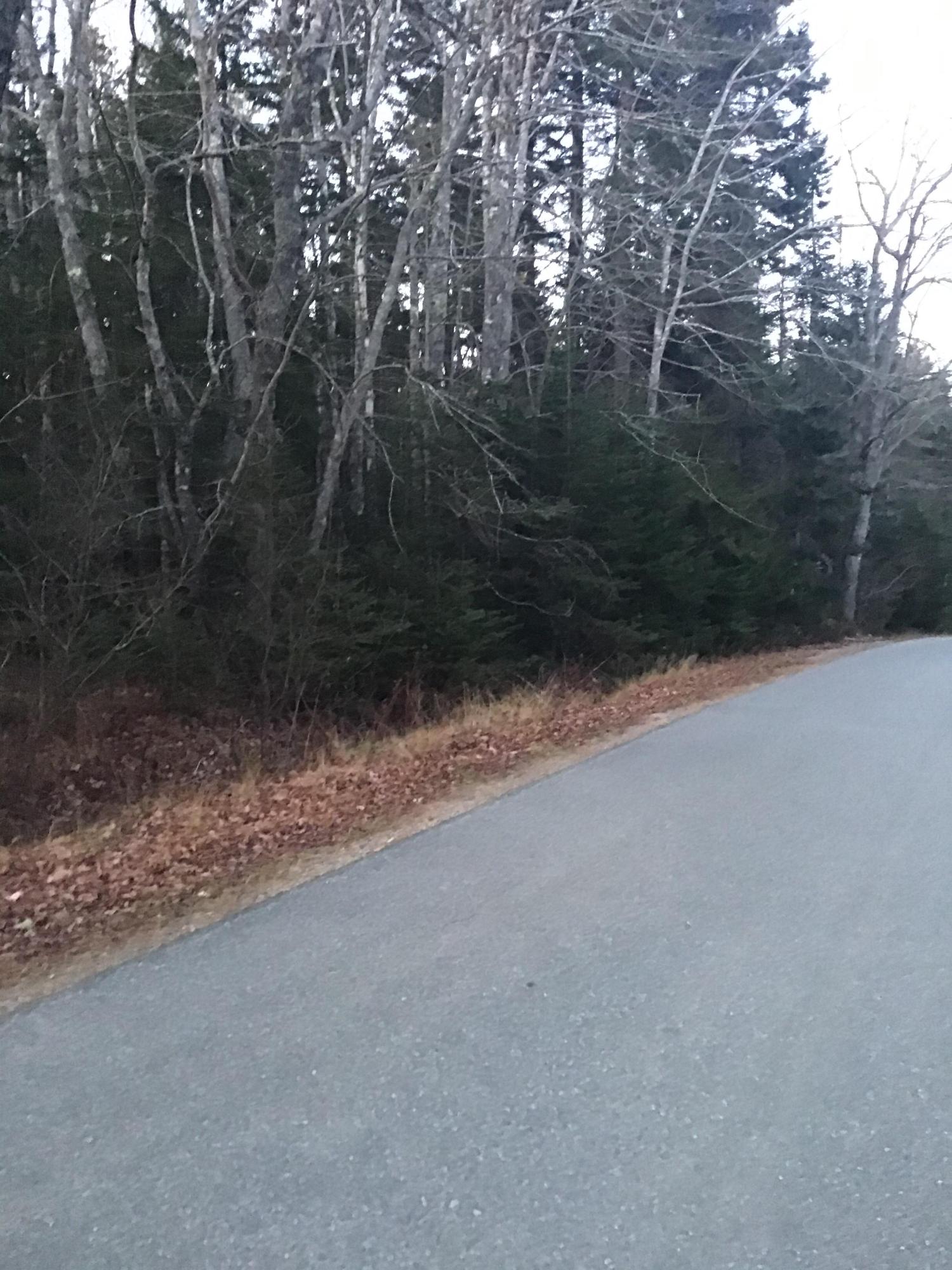 Lot 6 Gouldsboro Point Road Gouldsboro, ME 04607 - Photo 1 of 5 IMG_3375