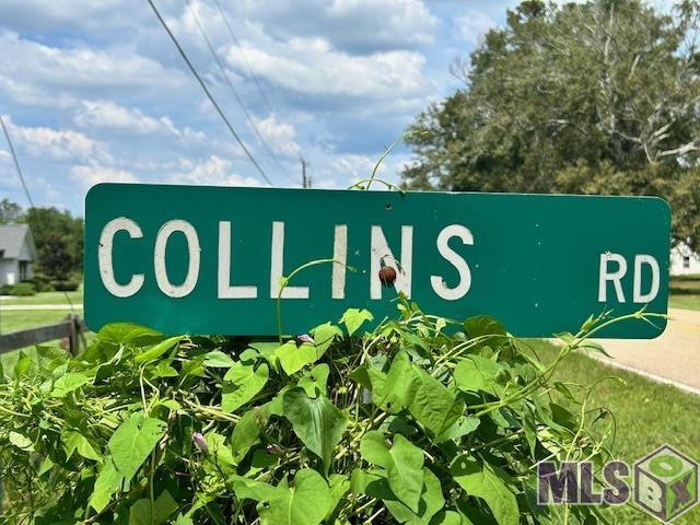23711 Collins Road Ponchatoula, LA 70454 - Photo 1 of 7 Gallery Image 1