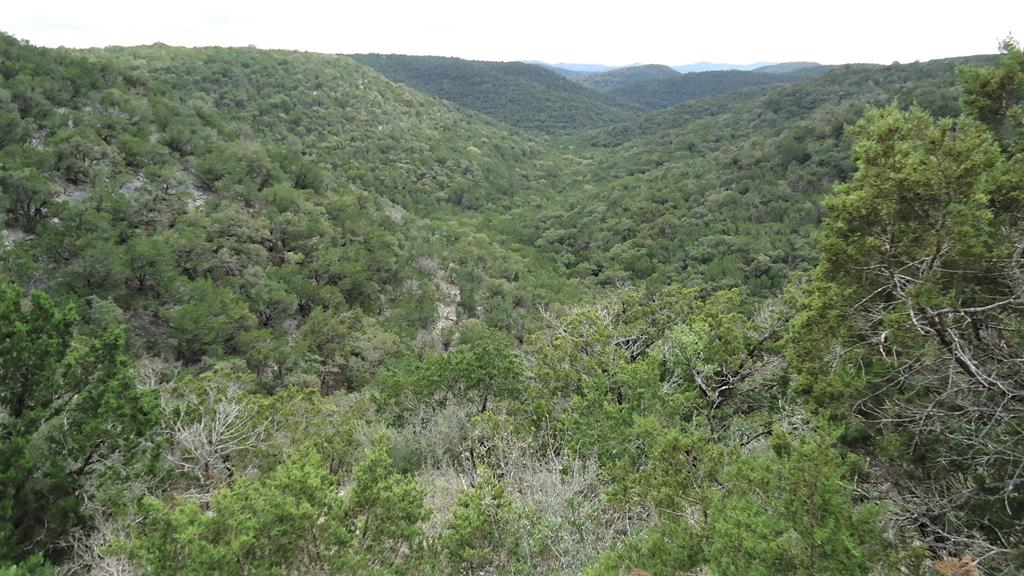 a view of a mountain range with trees in the background