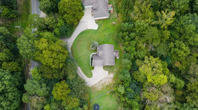 a view of a forest with a street