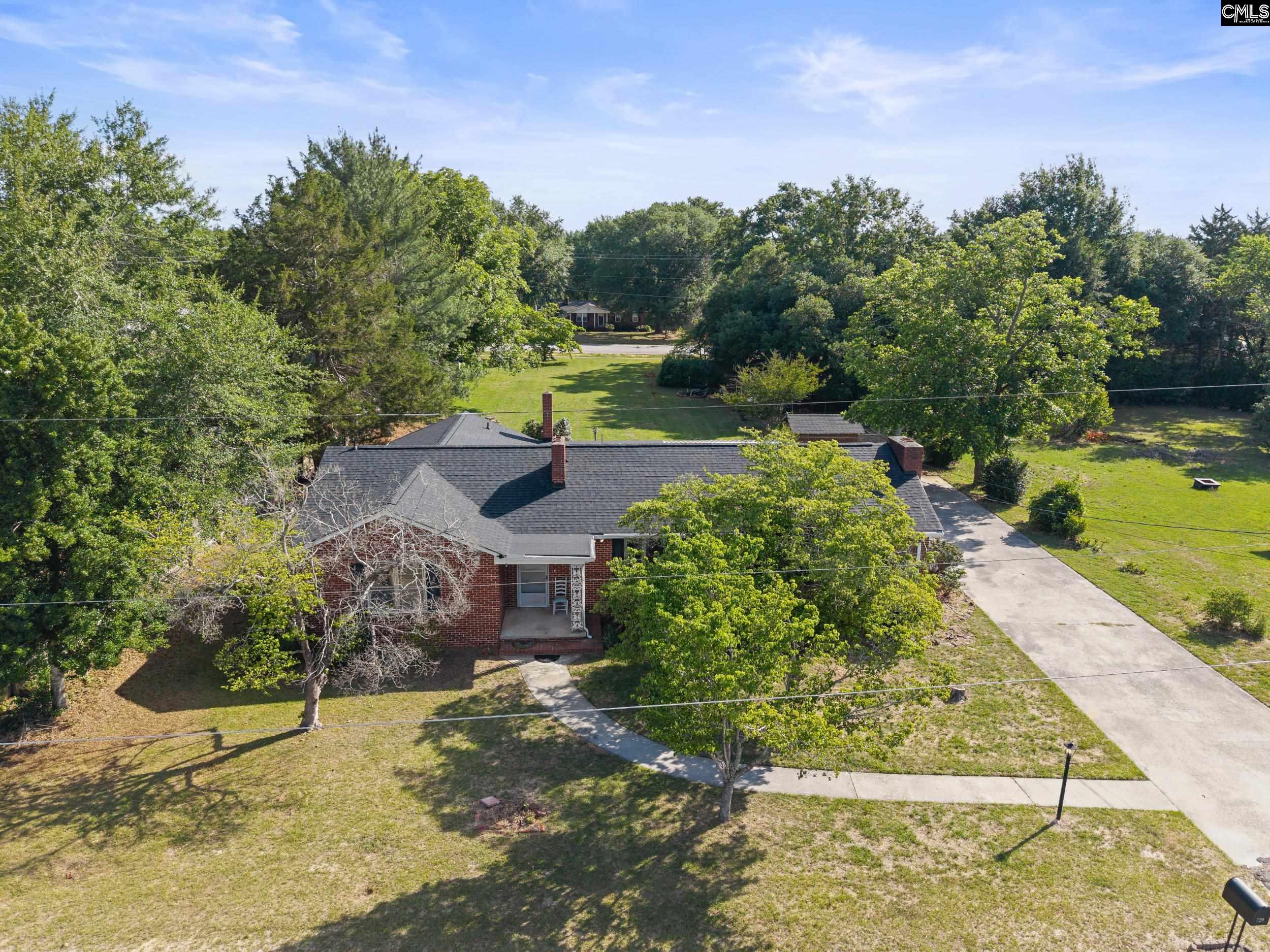 729 Magnolia Street Pelion, SC 29123 - Photo 23 of 32 a view of a yard with plants