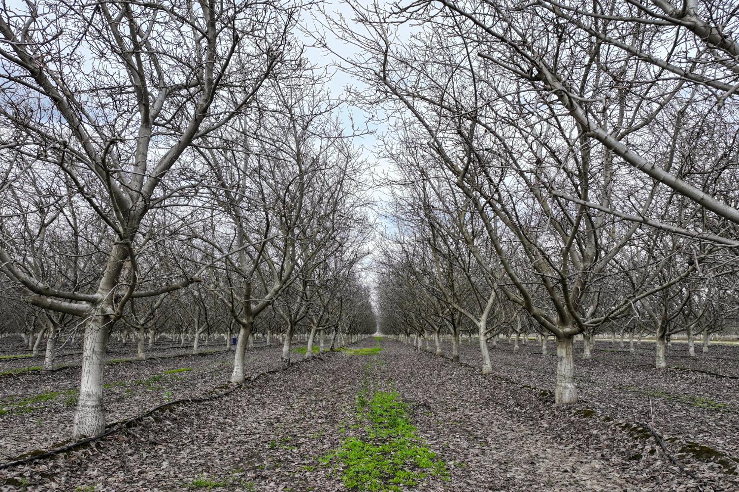 0 Unnamed Road Visalia, CA 93292 - Photo 3 of 11